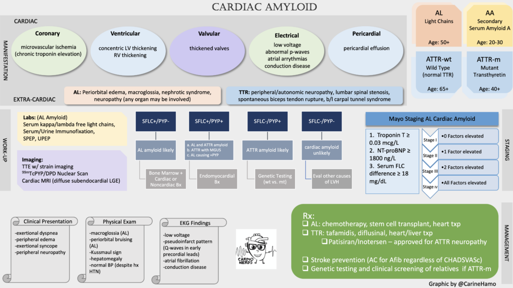 CardioNerds Cardiac Amyloid