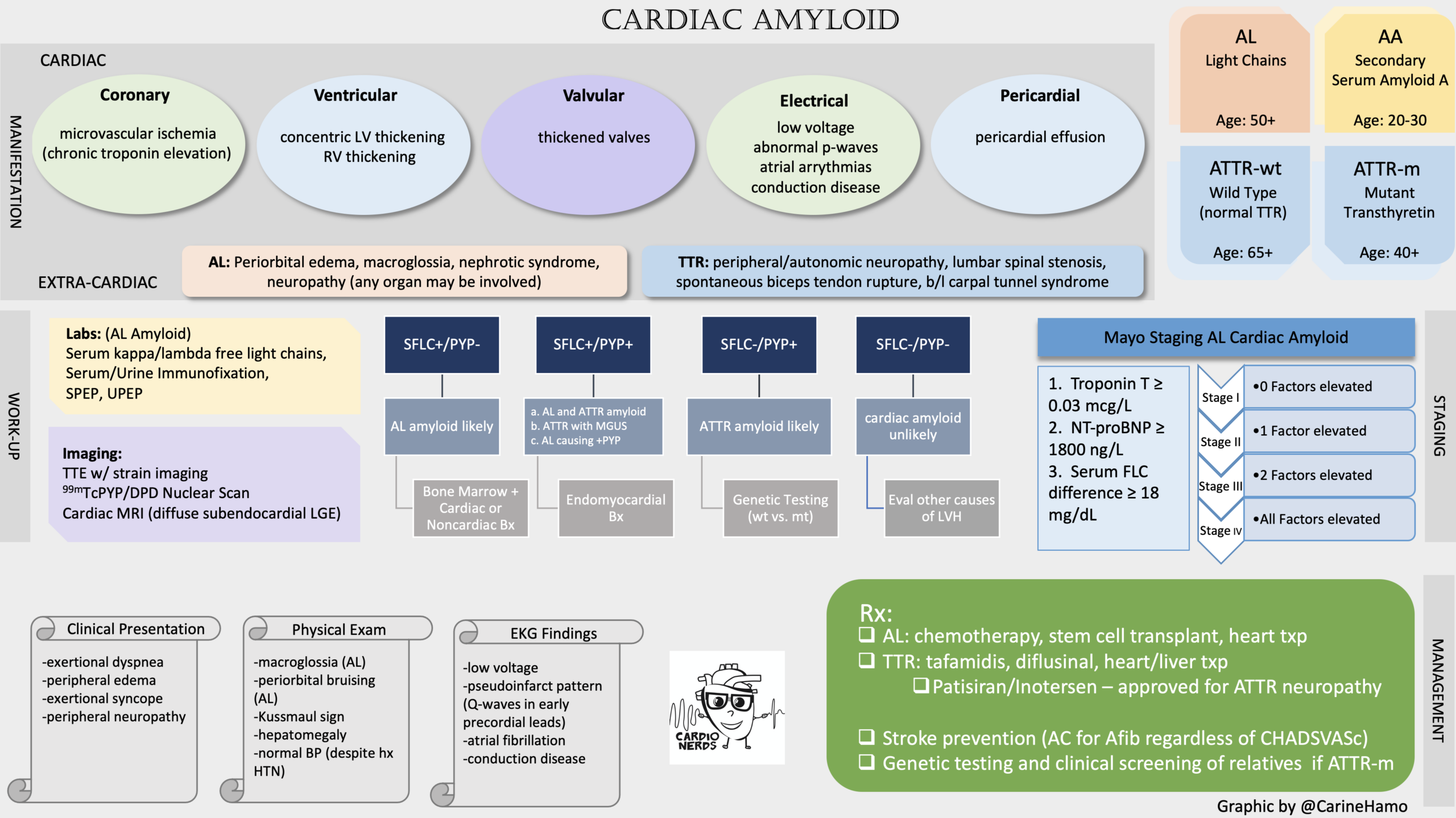 Nuclear and Multimodality Imaging: Cardiac Amyloidosis - CardioNerds